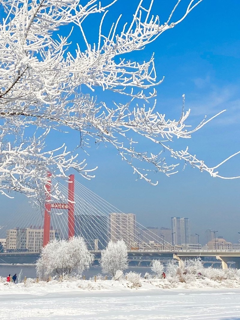 吉林,梦想绽放的沃土,奋斗者的舞台
